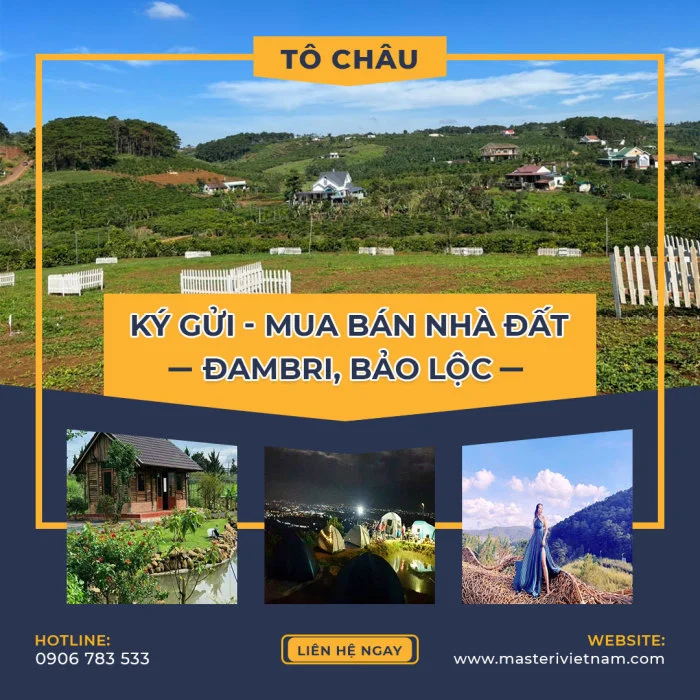 Dịch vụ ký gửi mua bán nhà đất Đambri, Bảo Lộc - Lâm Đồng 