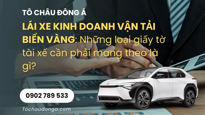 LÁI XE KINH DOANH VẬN TẢI BIỂN VÀNG: Những loại giấy tờ cần phải mang theo là gì?