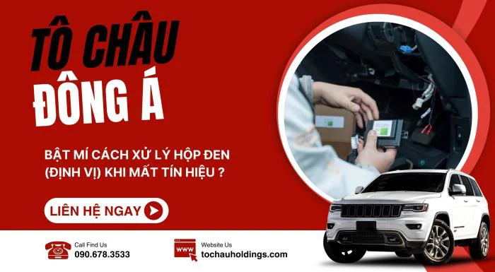 Lắp đặt định vị ô tô 4G Chất lượng cao tại Hồ Chí Minh