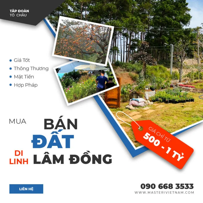 Mua bán đất huyện Di Linh, Lâm Đồng
