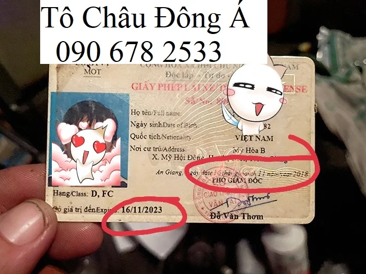 doi-giay-phep-lai-xe-o-to-tai-vung-tau