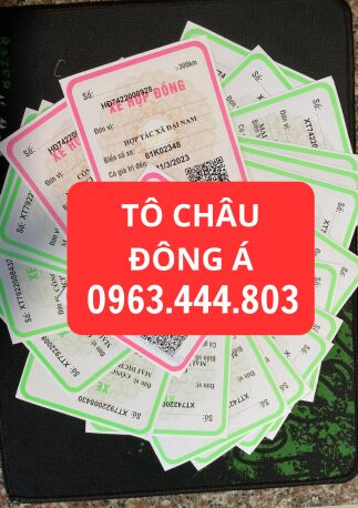 Cà Mau cấp phù hiệu cho xe ô tô tải online. 