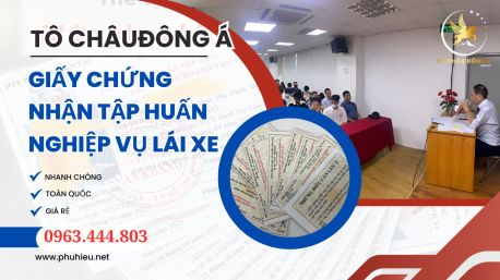 Cấp Chứng Chỉ Tài xế Lái Xe Siêu Rẻ Thái Nguyên