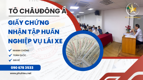 Cấp chứng chỉ tập huấn chỉ 2 ngày tại Bình Định