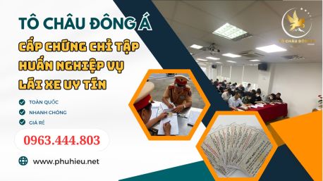 Cấp chứng chỉ tập huấn lái xe siêu rẻ chỉ 299k tại HỒ CHÍ MINH