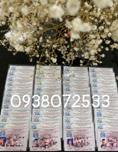 Cấp chứng chỉ tập huấn siêu tốc tại Bình Dương