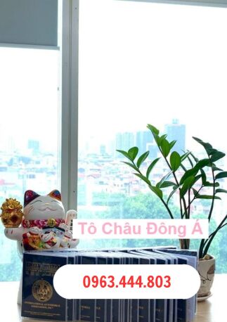 Cấp đổi bằng lái quốc tế IAA nhanh chóng tại Ninh Thuận