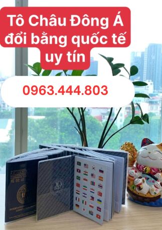 Cấp đổi bằng lái quốc tế IAA tại Cao Bằng