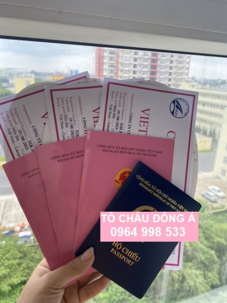 Cấp giấy phép liên vận Việt Nam - Campuchia nhanh chóng tại Cà Mau