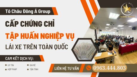 Cấp online chứng chỉ tập huấn lái xe tại Khánh Hòa chỉ 299k