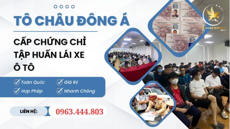 Cấp thẻ tập huấn lái xe kinh doanh tại Thuận Thành Bắc Ninh