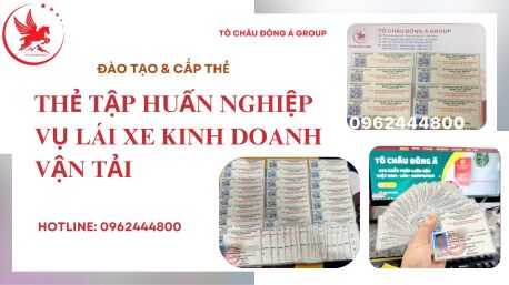 Cấp Thẻ Tập Huấn Lái Xe Nhanh Chóng Tại Lâm Đồng