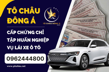 Cấp Thẻ Tập Huấn Nghiệp Vụ Lái Xe Kinh Doanh Vận Tải Tại Lạng Sơn