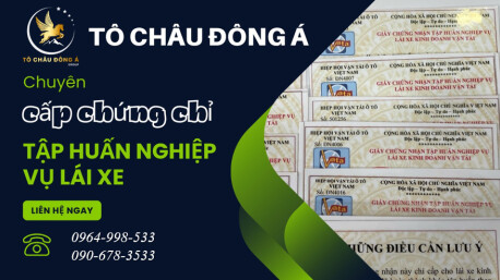 Cấp thẻ tập huấn nghiệp vụ lái xe nhanh- rẻ- uy tín tại Bà Rịa Vũng tàu 