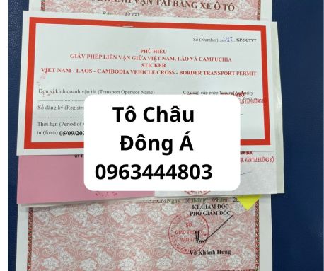 Cấp Transit Liên Vận Việt Nam Lào Tại Bình Dương đơn giản