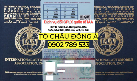 Công ty Tô Châu chuyên ĐỔI BẰNG LÁI XE QUỐC TẾ IAA uy tín Vũng Tàu