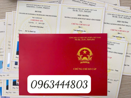 Đào tạo chứng chỉ sơ cấp vận tải nhanh chóng tại Hà Nội