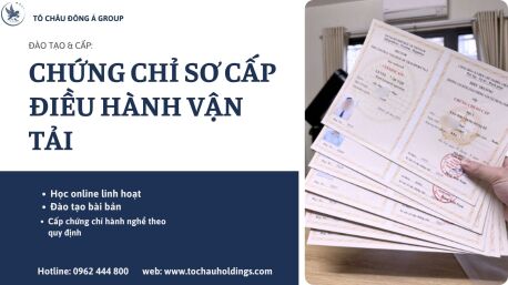 Đào tạo Sơ Cấp Vận Tải Cấp Tốc TP. Hồ Chí Minh