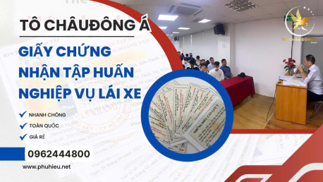 địa chỉ cấp thẻ tập huấn nghiệp vụ lái xe tại Bình Định