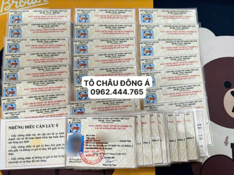 Địa chỉ cấp thẻ tập huấn nghiệp vụ lái xe uy tín tại Trà Vinh