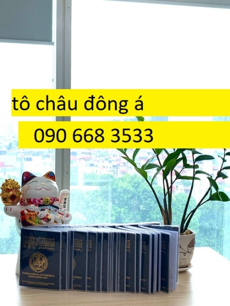 Địa chỉ đổi bằng lái xe ô tô quốc tế IAA giá rẻ nhất Hồ Chí Minh 