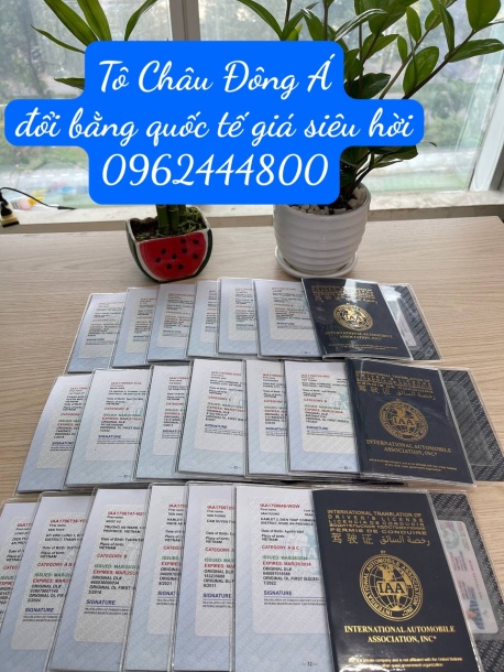Địa điểm cấp bằng IAA giá rẻ, nhanh chóng tại Thanh Hóa