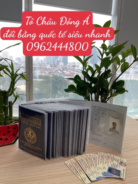 Địa điểm đổi bằng lái quốc tế IAA giá rẻ, uy tín tại Thanh Hóa
