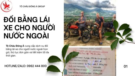 Dịch vụ đổi bằng lái xe cho người nước ngoài tại Ninh Bình