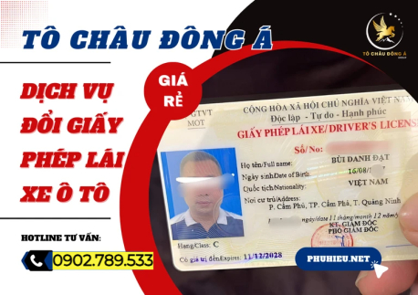 Dịch vụ đổi bằng lái xe của người Việt do nước ngoài cấp sang Việt Nam Hồ Chí Minh