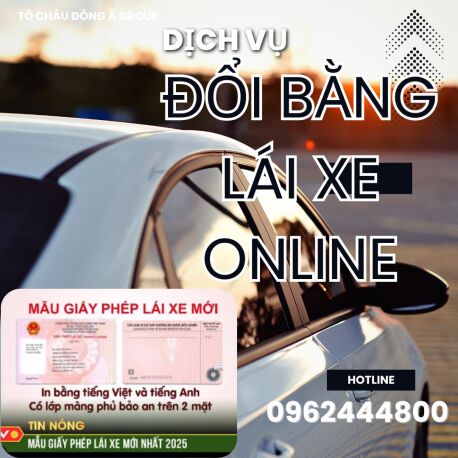 Dịch vụ đổi bằng lái xe online uy tín số 1 tại Hải Phòng