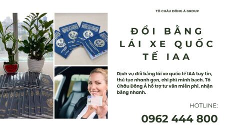 Dịch Vụ Đổi Bằng Lái Xe Quốc Tế IAA Nhanh Chóng, Uy Tín Tại Cà Mau