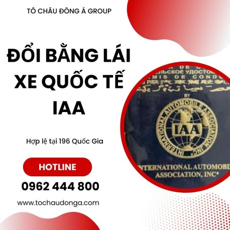 Dịch Vụ Đổi Bằng Lái Xe Quốc Tế IAA Tại Thanh Hóa Uy Tín, Nhanh Chóng