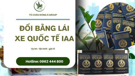 Dịch Vụ Đổi Bằng Lái Xe Quốc Tế IAA Uy Tín Số 1 Tại Đắk Lắk