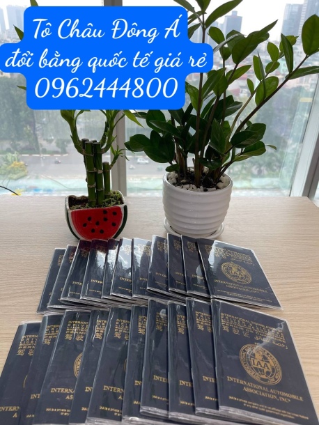 Dịch Vụ Đổi Bằng Lái Xe Quốc Tế IAA Uy Tín Tại Lai Châu