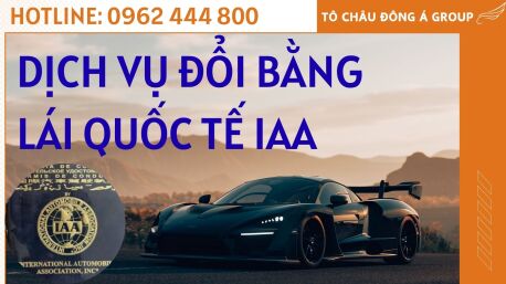 Dịch Vụ Đổi Bằng Lái Xe Quốc Tế IAA Uy Tín Tại Tuyên Quang