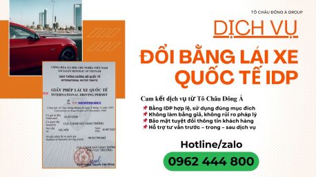 Dịch Vụ Đổi Bằng Lái Xe Quốc Tế IDP Tại Vĩnh Long