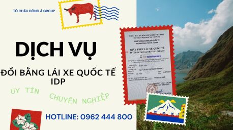 Dịch Vụ Đổi Bằng Lái Xe Quốc Tế IDP Uy Tín Hàng Đầu Tại Đồng Nai