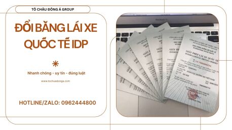 Dịch Vụ Đổi Bằng Lái Xe Quốc Tế IDP Uy Tín Tại Gia Lai