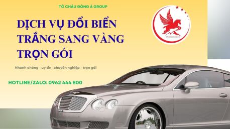 Dịch Vụ Đổi Biển Số Vàng Trọn Gói, Nhanh Chóng Tại Gia Lai