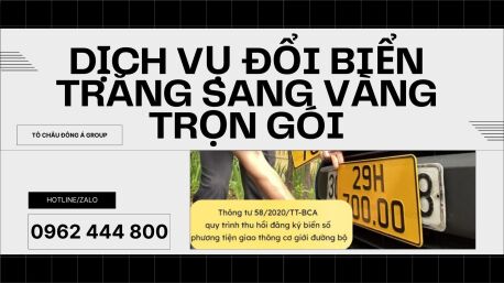 Dịch Vụ Đổi Biển trắng sang Vàng Tại Cà Mau Trọn Gói Nhanh Chóng, Giá Rẻ