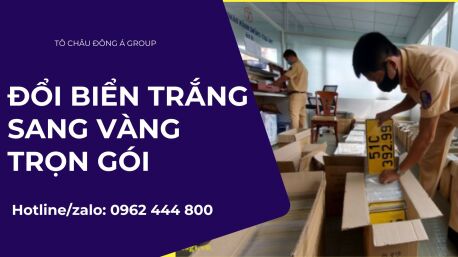 DỊCH VỤ ĐỔI BIỂN TRẮNG SANG VÀNG TRỌN GÓI TẠI QUẢNG NGÃI – UY TÍN, SIÊU TỐC