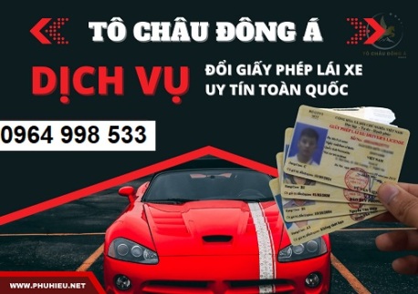 Dịch vụ đổi giấy phép lái xe tại Tiền Giang chi phí rẻ