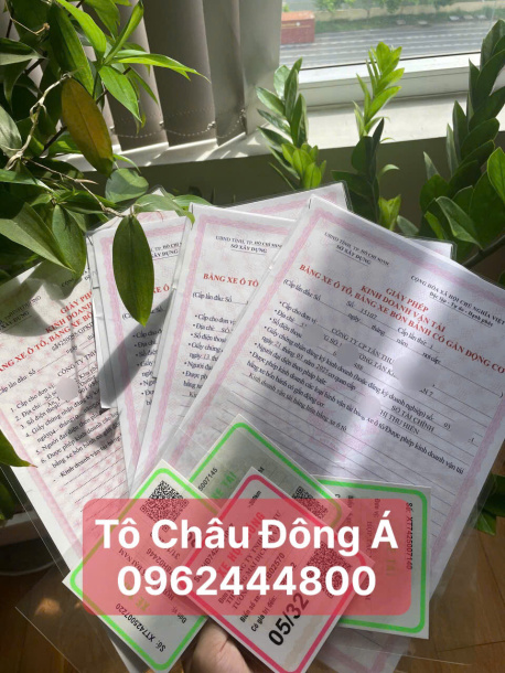 Dịch vụ làm giấy phép kinh doanh vận tải trọn gói, nhanh chóng tại Đồng Nai