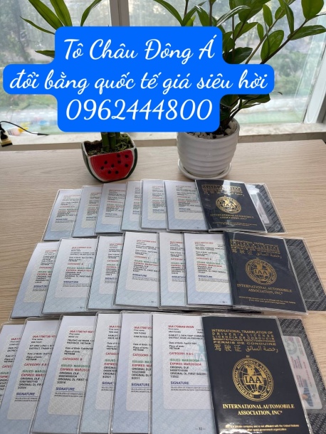 Đổi bằng IAA giá rẻ tại Nghệ An