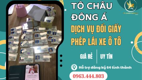 Đổi bằng lái gần hết hạn online tại Thành phố Đà Lạt, Lâm Đồng