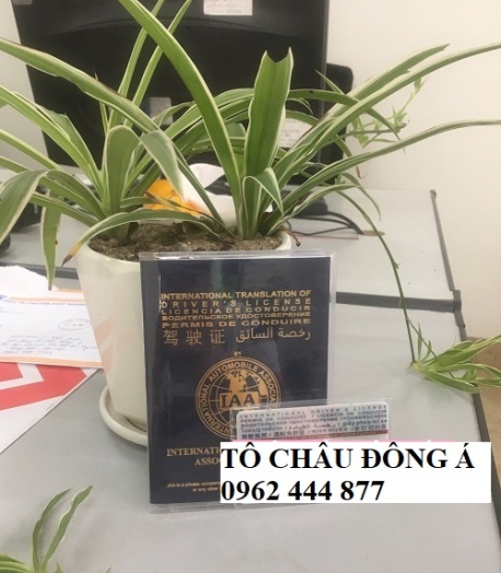 Đổi bằng lái quốc tế IAA ở Quảng Ninh