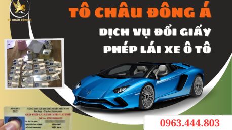 Đổi bằng lái xe ô tô online giá rẻ nhanh chóng tại Sài Gòn