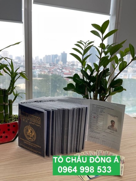 Đổi bằng lái xe quốc tế IAA ở đâu Nghệ An uy tín