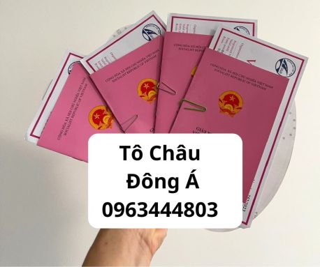 Hà Tĩnh cấp giấy phép liên vận Việt Lào uy tín, giá rẻ nhất