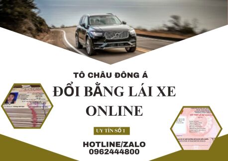 Hỗ trợ đổi giấy phép lái xe online tại Cà Mau nhanh chóng, tiện lợi và uy tín